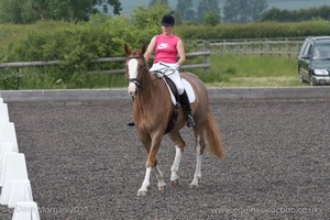 ISIS Dressage Challenge 2008